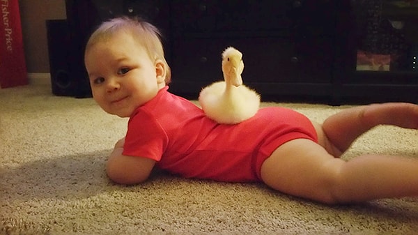 "Когда Тайлеру было 9 месяцев мой муж… принес его домой, и с этого дня Би ни на шаг не отходит от Тайлера»