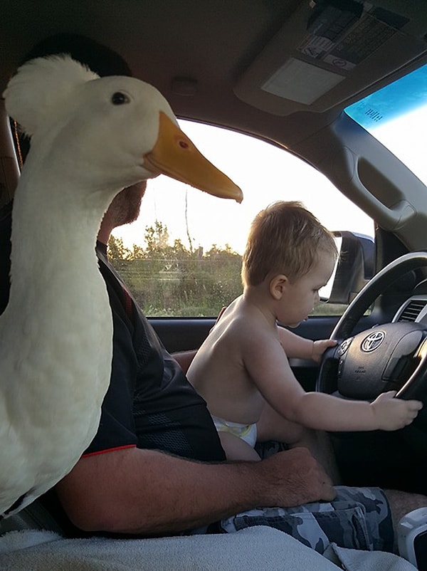 «Тайлер берет с собой Би повсюду. А еще они обожают играть в бассейне с шариками»