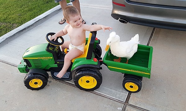 «Малыш любит Бикера, и если бы утки могли говорить, Би сказал бы тоже самое про Тайлера»