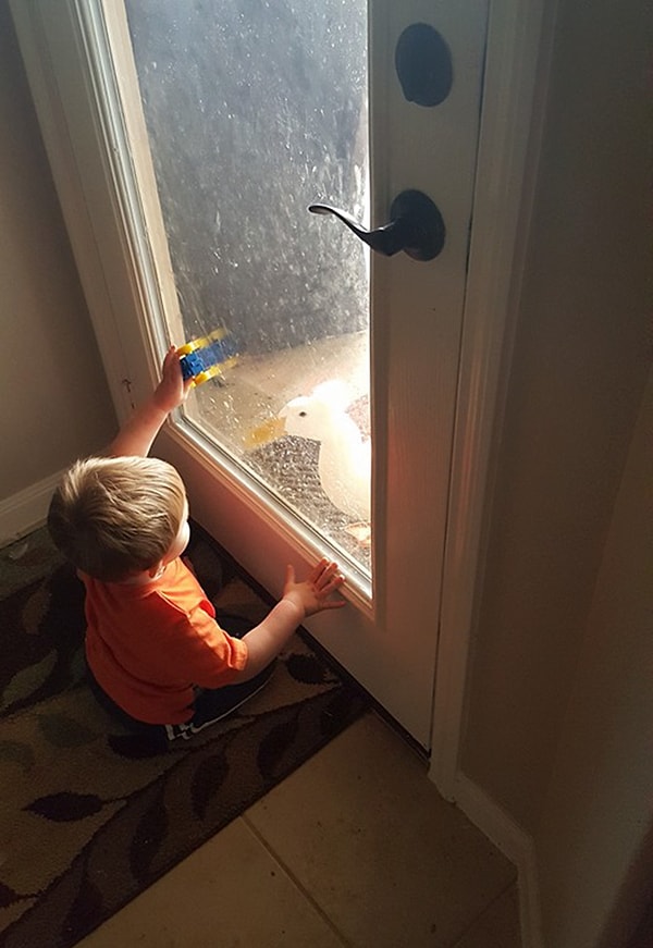 «Я никогда не думала, что у нас будет такой домашний питомец»