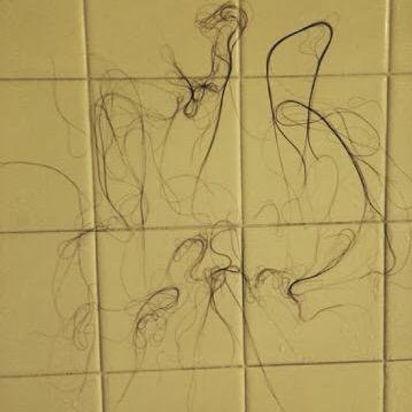 10. Ты точно знаешь, кто принимал душ до тебя: