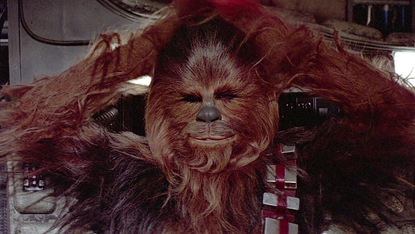 26. Wookie kostümleri insan saçından yapılmıştır, evet tamamı...