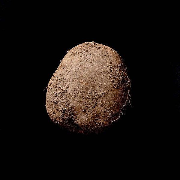 10. Patates Fotoğrafı 1 Milyon Euroya Satıldı