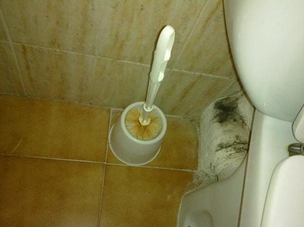 8. Tuvalet fırçanızı değiştirin.