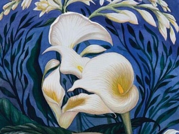 6. Впечатляет не правда ли? Но нам важно, что вы видите?