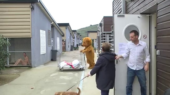 Rémi Gaillard Yine Kafaları Karıştırdı: Veterinerde Hayvanlar ve İnsanlar Yer Değiştirirse