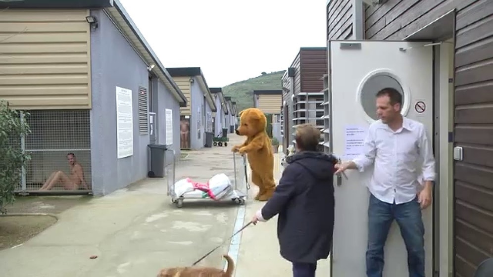 Rémi Gaillard Yine Kafaları Karıştırdı: Veterinerde Hayvanlar ve İnsanlar Yer Değiştirirse