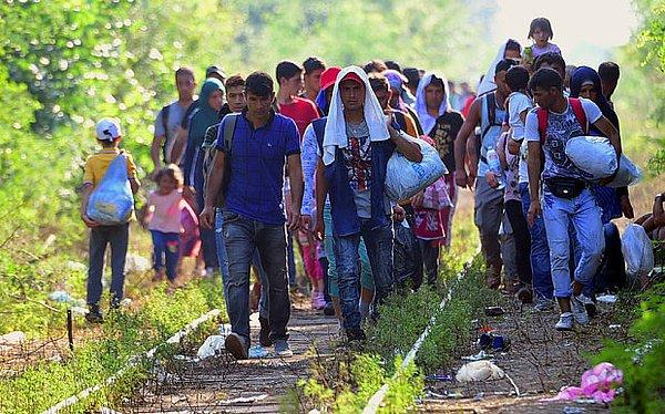 Rapora göre mülteci krizi Avrupa'nın temel ilkelerini test etti