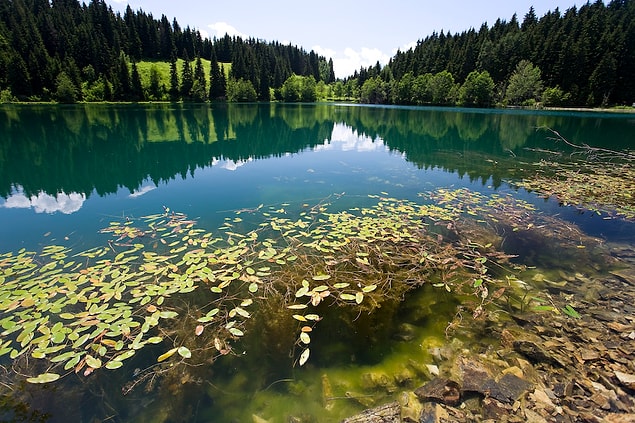 2. Artvin/Şavşat-Karagöl