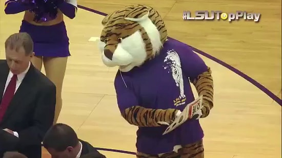 Победа любой ценой: Болельщик университетской сборной готов на все ради своей команды