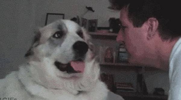 4. Иногда нам задают совершенно сумасшедшие вопросы.