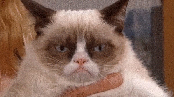 11. Мы знаем, когда вы скрываете правду.