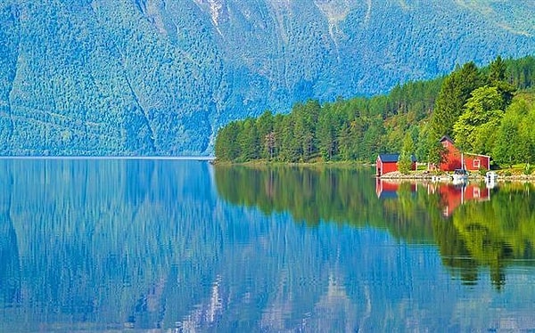 7. На прилавках норвежских супермаркетов хоть и в малом количестве, но можно найти мясо кита.