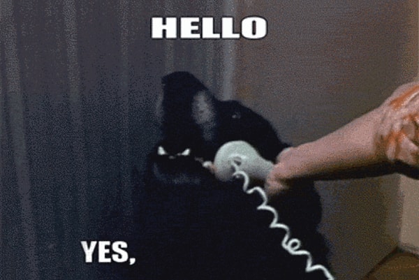 20. Но некоторые вещи просто выводят из себя.