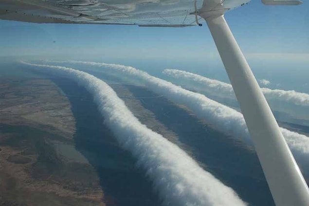 1. Roll Cloud