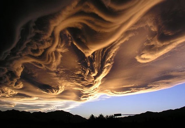 4. Undulatus Asperatus