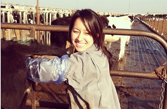 22 несколько шокирующих признания ветеринаров