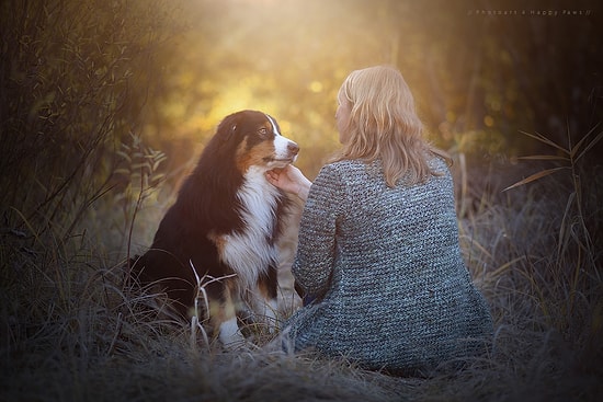 Köpeklerin Fotoğrafçısı Anne Geie'den Birbirinden Harika 46 Köpek Fotoğrafı