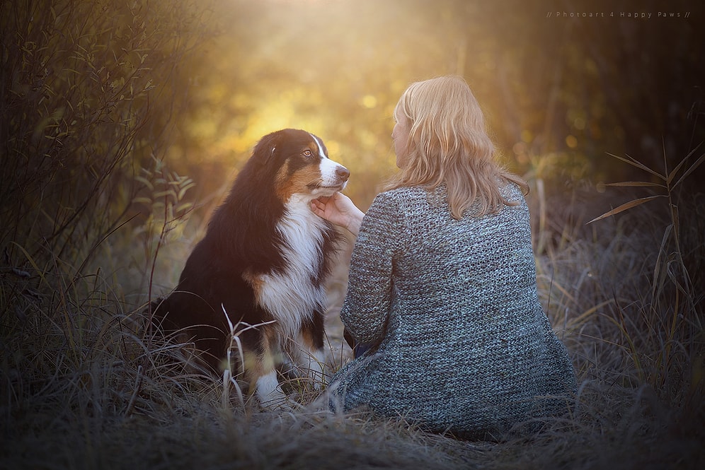 Köpeklerin Fotoğrafçısı Anne Geie'den Birbirinden Harika 46 Köpek Fotoğrafı