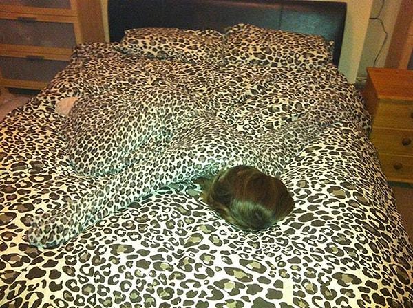 20. Burada da leopar desenli bir kadın yok,  yatağa çok tüylü bir kedi yatmış