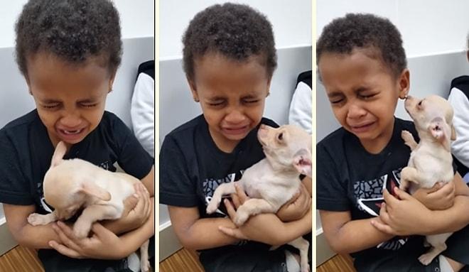 Köpek Sahiplenmeye Giden Çocuk Üzerine Çıkan Köpeğin Sevimliliğine Dayanamayıp Ağladı