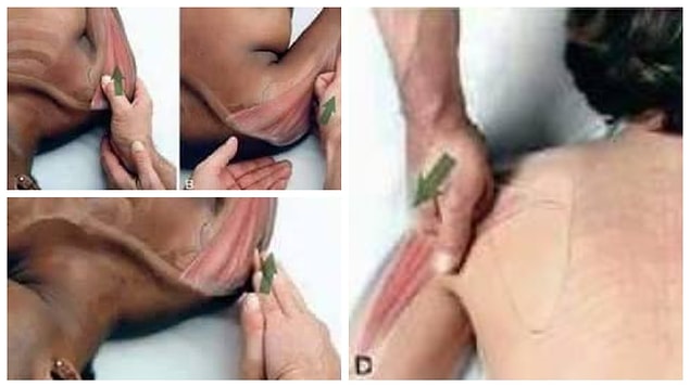 4.