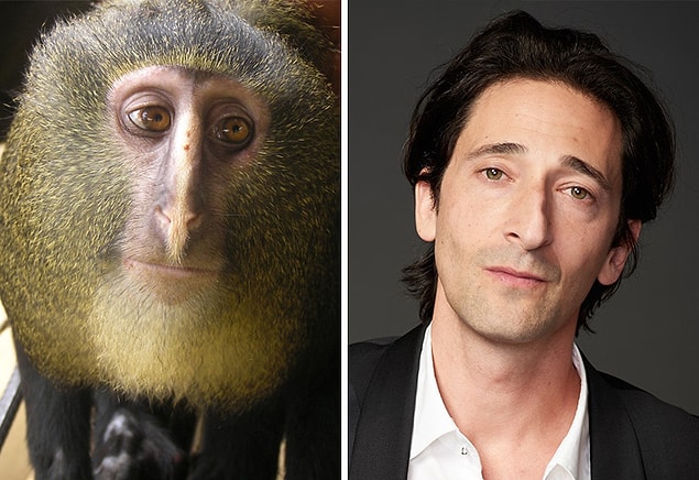 9. Adrien Brody
