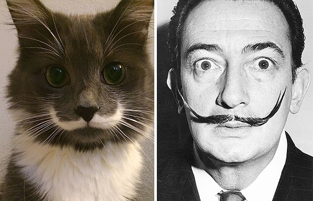 12. Salvador Dali