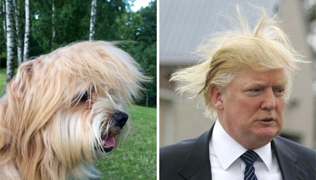 20. Donald Trump