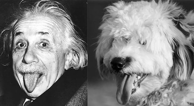 28. Albert Einstein