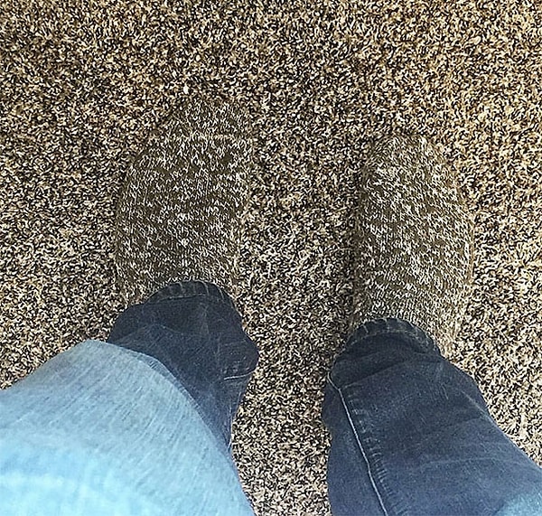 2. Когда жена прикупила шикарные носки