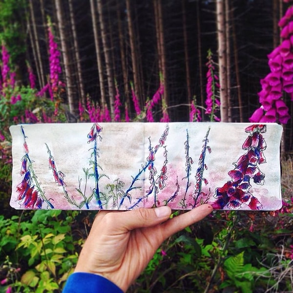 9. День 18 – Лесная опушка на острове Харейдланн, Норвегия