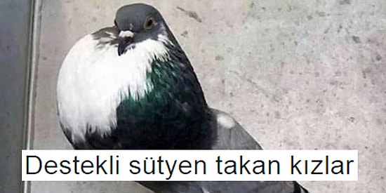 Moda Kurbanlarını Komik Şekilde Betimleyen 15 Temsili Görsel