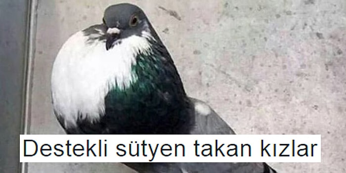 Moda Kurbanlarını Komik Şekilde Betimleyen 15 Temsili Görsel