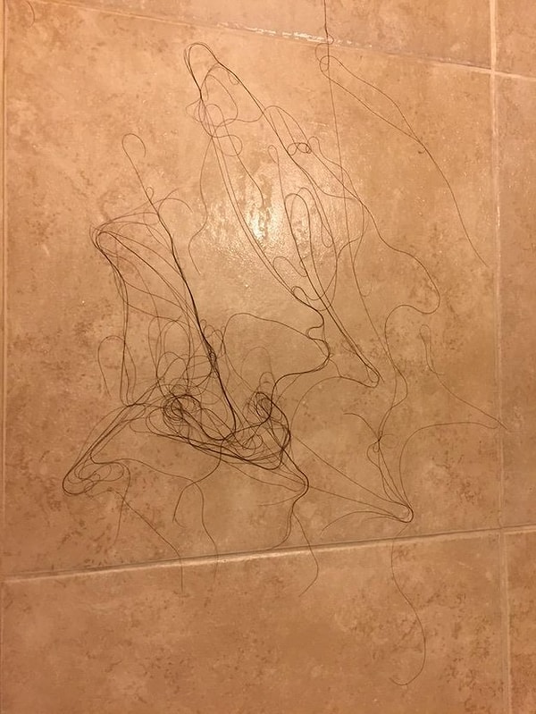 11. Это сделал Чубакка или я: