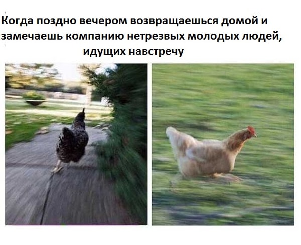 17. Марафон до дома по опасному району: