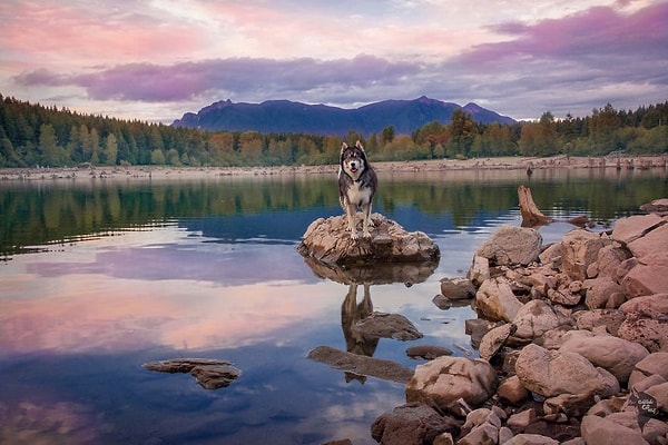 Кайро смог помочь девушке снова обрести покой и душевное равновесие.