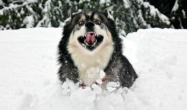 И полюбил ее такой, какая она есть.