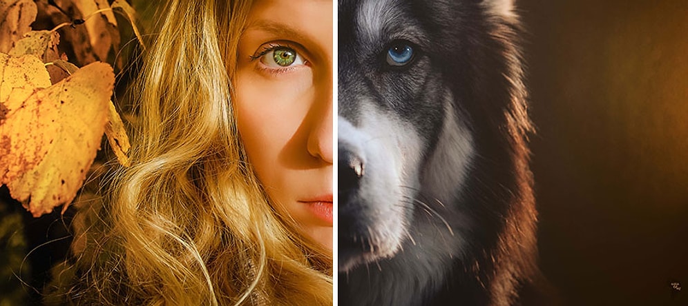 Спасая жизни друг другу: история хаски и его очаровательной хозяйки