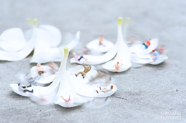 6. Цветочная игровая площадка.