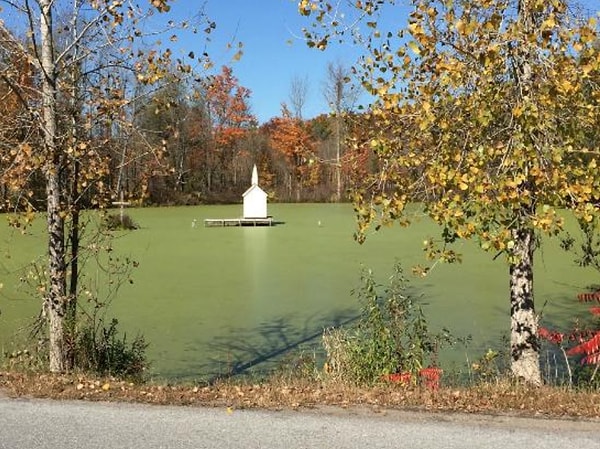 24. Часовня Кросс Айленд: