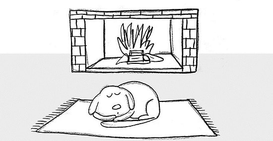 21 инструкция как быть настоящей собакой