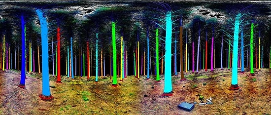 Lazerle Bir Ormanı Taradığınızda Bu Görüntü Oluşuyor