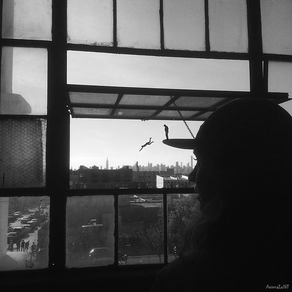 Ныряем – Бушвик Бруклин