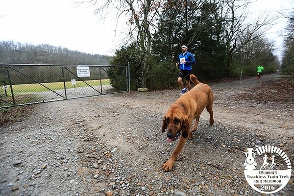 April Hamlin узнала о забеге только тогда, когда друзья показали фотографии собаки на марафоне.