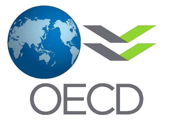 13. OECD, Dijital Ekonomide Büyüme konulu üst düzey toplantısını Meksika'da gerçekleştiriyor - HAZİRAN