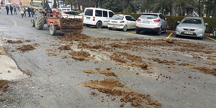 Çiftçiden Sıra Dışı Eylem: Protesto Ettiği Kurumların Önüne Hayvan Dışkısı Bıraktı