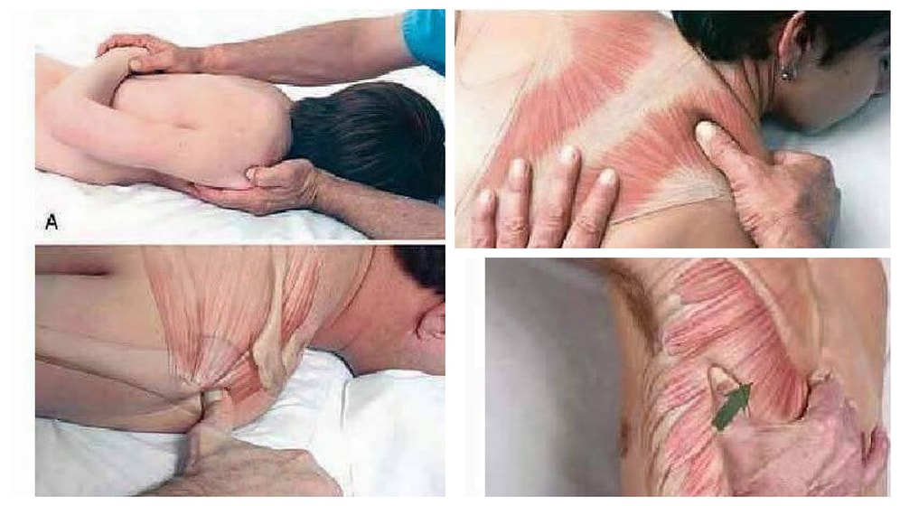 Эти картинки сделают вас профи в массаже!