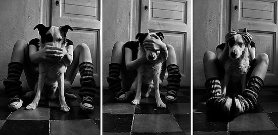 Покинутый пес получил еще один шанс