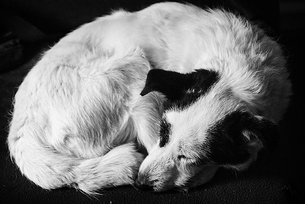 Тогда он нашел новую семью, только чтобы быть покинутым через два коротких месяца